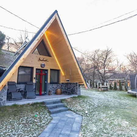 Pensiunea Casa Iulia A-Frame Martinie Extérieur photo